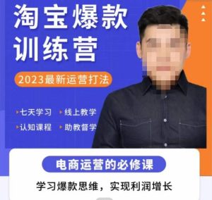 爱上黄昏·淘宝爆款训练营,2023最新运营打法,学习爆款思维,实现利润增长-52资源库