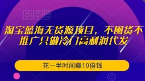 淘宝蓝海无货源项目,不囤货不推广只做冷门高利润代发,花一半时间赚10倍钱-52资源库