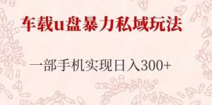 车载u盘暴力私域玩法,长期项目,仅需一部手机实现日入300+-52资源库