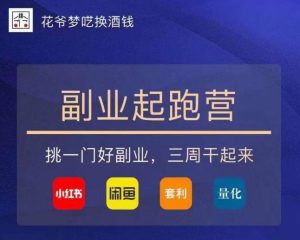 花爷-副业起跑营第2期，挑一门好副业，三周干起来（闲鱼｜小红书｜量化｜套利）-52资源库