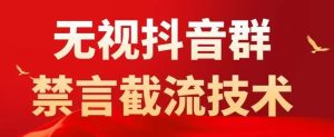 外面卖1500抖音粉丝群无视禁言截流技术,抖音黑科技,直接引流,0封号-52资源库