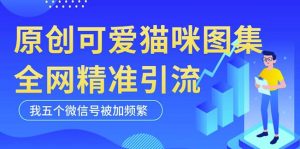 黑科技纯原创可爱猫咪图片,全网精准引流,实操5个VX号被加频繁-52资源库