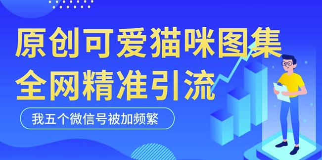 黑科技纯原创可爱猫咪图片，全网精准引流，实操5个VX号被加频繁-52资源库