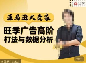 阿甘·亚马逊大卖家广告高阶打法与数据分析,走出传统广告误区;揭秘大卖惯用打法;数据驱动广告决策-52资源库