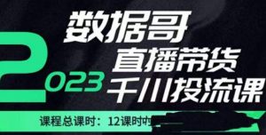 数据哥2023直播电商巨量千川付费投流实操课,快速掌握直播带货运营投放策略-52资源库