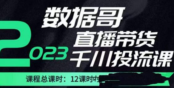 数据哥2023直播电商巨量千川付费投流实操课，快速掌握直播带货运营投放策略-52资源库