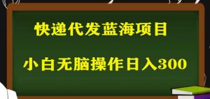 2023最新蓝海快递代发项目,小白零成本照抄也能日入300+-52资源库