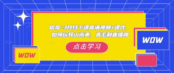 哈哥·3月线下实操课高清视频+课件，如何玩转小而美，高毛利直播间-52资源库
