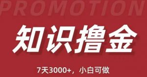 抖音知识撸金项目:简单粗暴日入1000+执行力强当天见收益(教程+资料)-52资源库