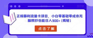 正规暴利流量卡项目,小白零基础零成本无脑照抄也能日入300+【揭秘】-52资源库