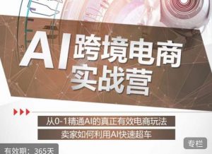 白龙老师·AI跨境电商实战营：从0-1精通Al的真正有效电商玩法，卖家如何利用Al快速超车-52资源库