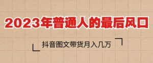 2023年普通人的最后风口,抖音图文带货月入几万,只需一部手机即可操作-52资源库
