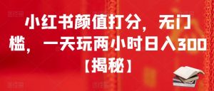 小红书颜值打分,无门槛,一天玩两小时日入300+【揭秘】-52资源库