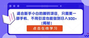 适合新手小白的搬砖项目,只需要一部手机、不用引流也能做到日入300+【揭秘】-52资源库