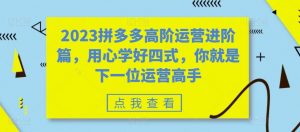 2023拼多多高阶运营进阶篇,用心学好四式,你就是下一位运营高手-52资源库