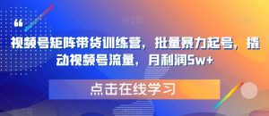视频号矩阵带货训练营,批量暴力起号,撬动视频号流量,月利润5w+-52资源库