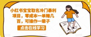 小红书宝宝取名冷门暴利项目,零成本一单赚几百,可操作一辈子-52资源库