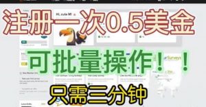 国外项目注册一次0.5美金,只需三分钟无脑操作,可批量同时放大操作,小白工作室福利【揭秘】-52资源库