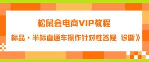 松鼠会电商VIP教程:松鼠《付费推广标品·半标直通车操作针对性答疑&诊断》-52资源库