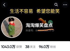 价值1000的搞笑盘点大V淘淘爆笑盘点详细课程+软件,中视频变现-52资源库