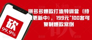 拼多多爆款打造特训营(持续更新中),199元*100套可复制爆款案例-52资源库