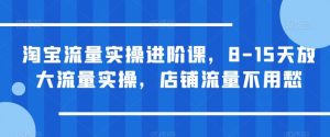 淘宝流量实操进阶课,8-15天放大流量实操,店铺流量不用愁-52资源库