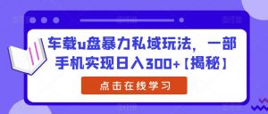 车载u盘暴力私域玩法,一部手机实现日入300+【揭秘】-52资源库