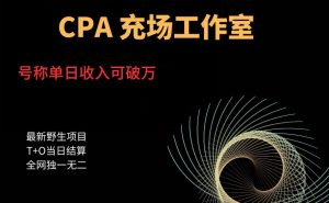 cpa充场工作室,号称单日收入10000+(揭秘)-52资源库