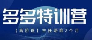 纪主任·5月最新多多特训营高阶班,玩法落地实操,多多全掌握-52资源库