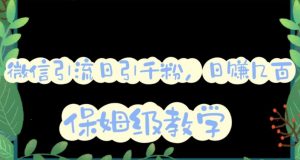 微信互推圈半自动引流方案,矩阵操作日引千人思路【详细视频教程】-52资源库