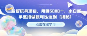 益智玩具项目,月赚5000+,小白新手坚持做就可以达到【揭秘】-52资源库