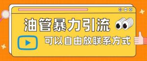 油管暴力引流,可以自由放联系方式【揭秘】-52资源库