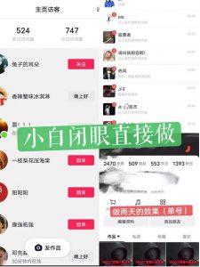一天做完别一辈子的视频制作最近很火的《1000个野路子信息差》100%过原创【揭秘】-52资源库