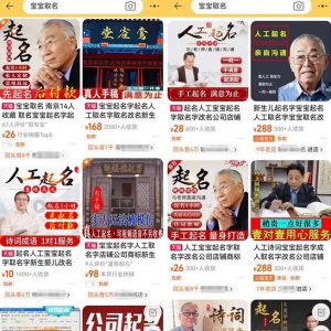 拆解小红书宝宝起名虚拟副业项目,一条龙实操玩法分享给你(教程+软件)-52资源库