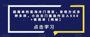 超简单的蓝海冷门项目,变现方式多种多样,小白无门槛操作日入500+很简单【揭秘】-52资源库