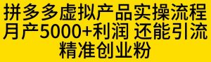 拼多多虚拟产品实操流程,月产5000+利润,还能引流精准创业粉【揭秘】-52资源库
