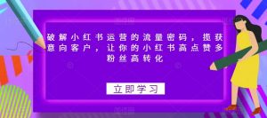 破解小红书运营的流量密码,揽获意向客户,让你的小红书高点赞多粉丝高转化-52资源库