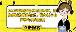 2023淘宝数据化运营14式,深度解析数据化知识,帮你从小白成长为高级运营-52资源库