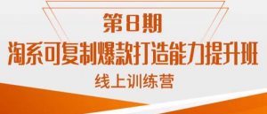 淘系可复制爆款打造能力提升班,这是一套可复制的打爆款标准化流程-52资源库
