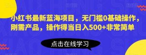 小红书最新蓝海项目,无门槛0基础操作,刚需产品,操作得当日入500+非常简单【揭秘】-52资源库