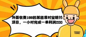 外面收费188的美团准时宝赔付项目,一小时完成一单利润200【仅揭秘】-52资源库