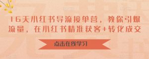 16天小红书导流接单营,教你引爆流量,在小红书精准获客+转化成交-52资源库