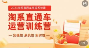 冠东·2023淘系直通车高级系统课,实操性,系统性,实时性,直通车完整体系教学-52资源库