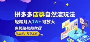 拼多多店群自然流玩法,轻松月入1W+保姆级视频教程(附上货、拍单工具)-52资源库