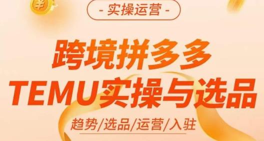 伍跃·跨境拼多多TEMU实操与选品，​趋势/选品/运营/入住（27节完整）-52资源库
