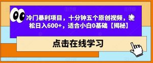 冷门暴利项目,十分钟五个原创视频,轻松日入600+,适合小白0基础【揭秘】-52资源库