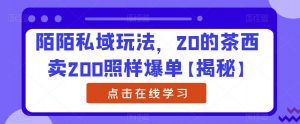 陌陌私域玩法,20的茶西卖200照样爆单【揭秘】-52资源库