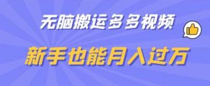 无脑搬运多多视频,新手也能月入过万【揭秘】-52资源库