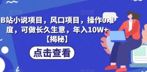 B站小说项目,风口项目,操作0难度,可做长久生意,年入10W+【揭秘】-52资源库