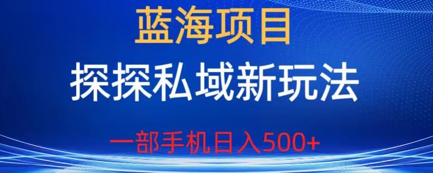 蓝海项目，探探私域新玩法，一部手机日入500+很轻松【揭秘】-52资源库